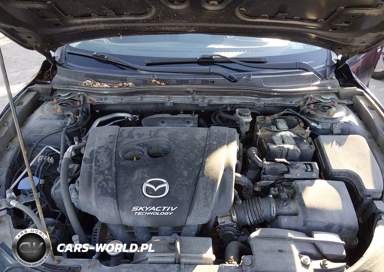 2016 Mazda Mazda3 I Sport VIN:3MZBM1U75GM307887 - 10