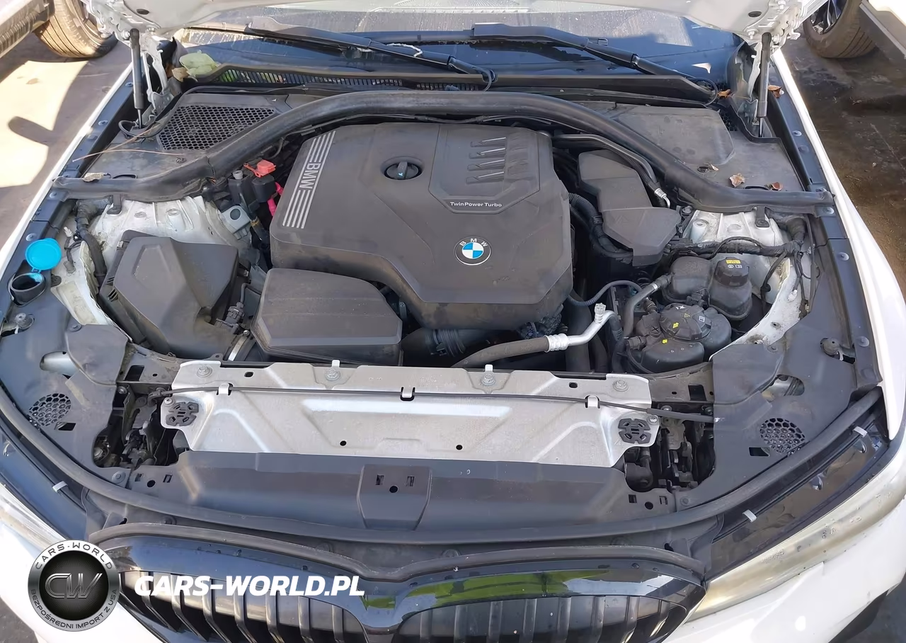 2020 BMW 330I VIN:3MW5R1J03L8B31222 - 10