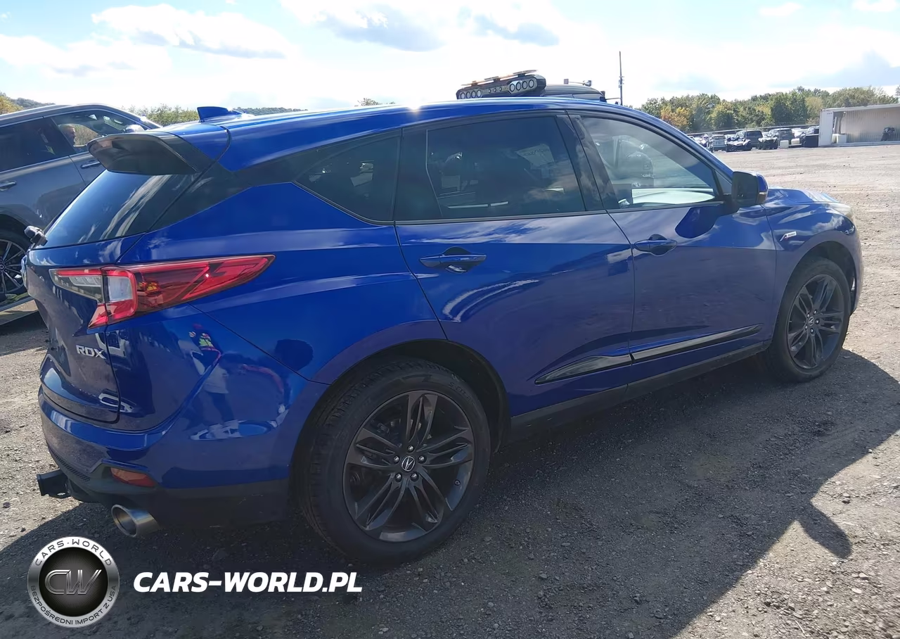 2019 Acura Rdx A-Spec Package VIN:5J8TC1H66KL024194 - 4