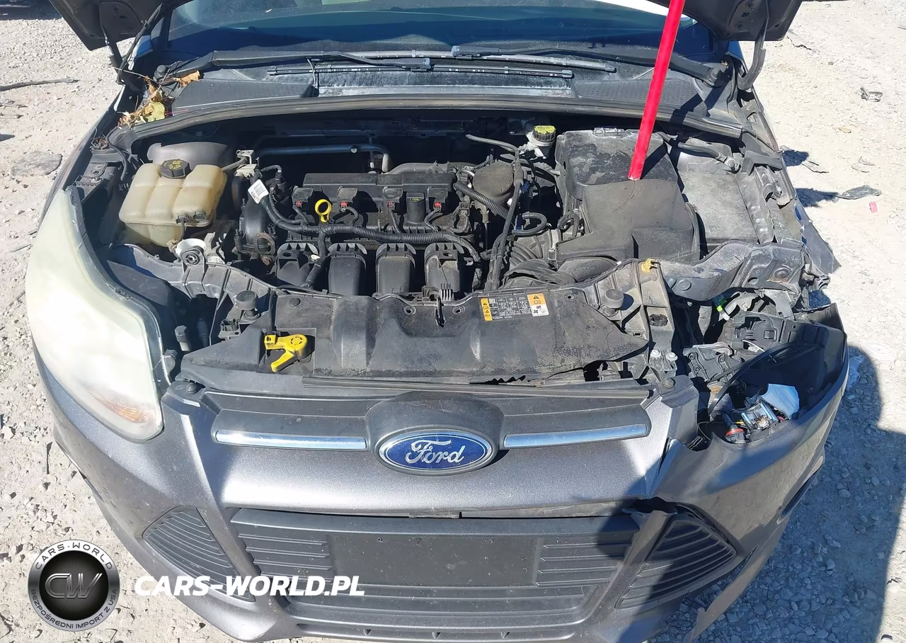 2014 Ford Focus Se VIN:1FADP3F27EL404559 - 10