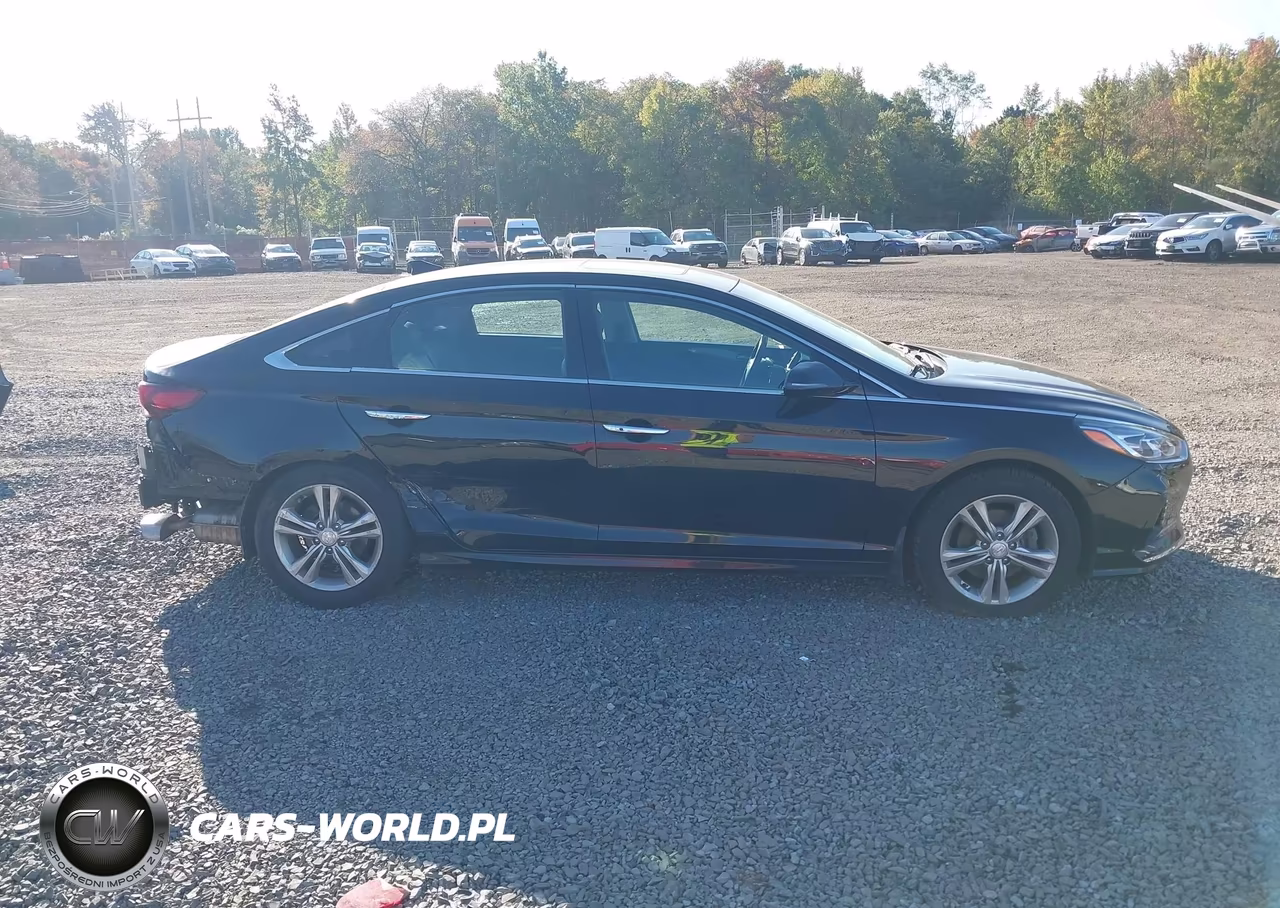 HYUNDAI SONATA SPO VIN:5NPE34AF9JH644897 - 14