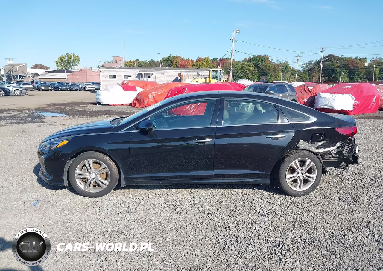 HYUNDAI SONATA SPO VIN:5NPE34AF9JH644897 - 15