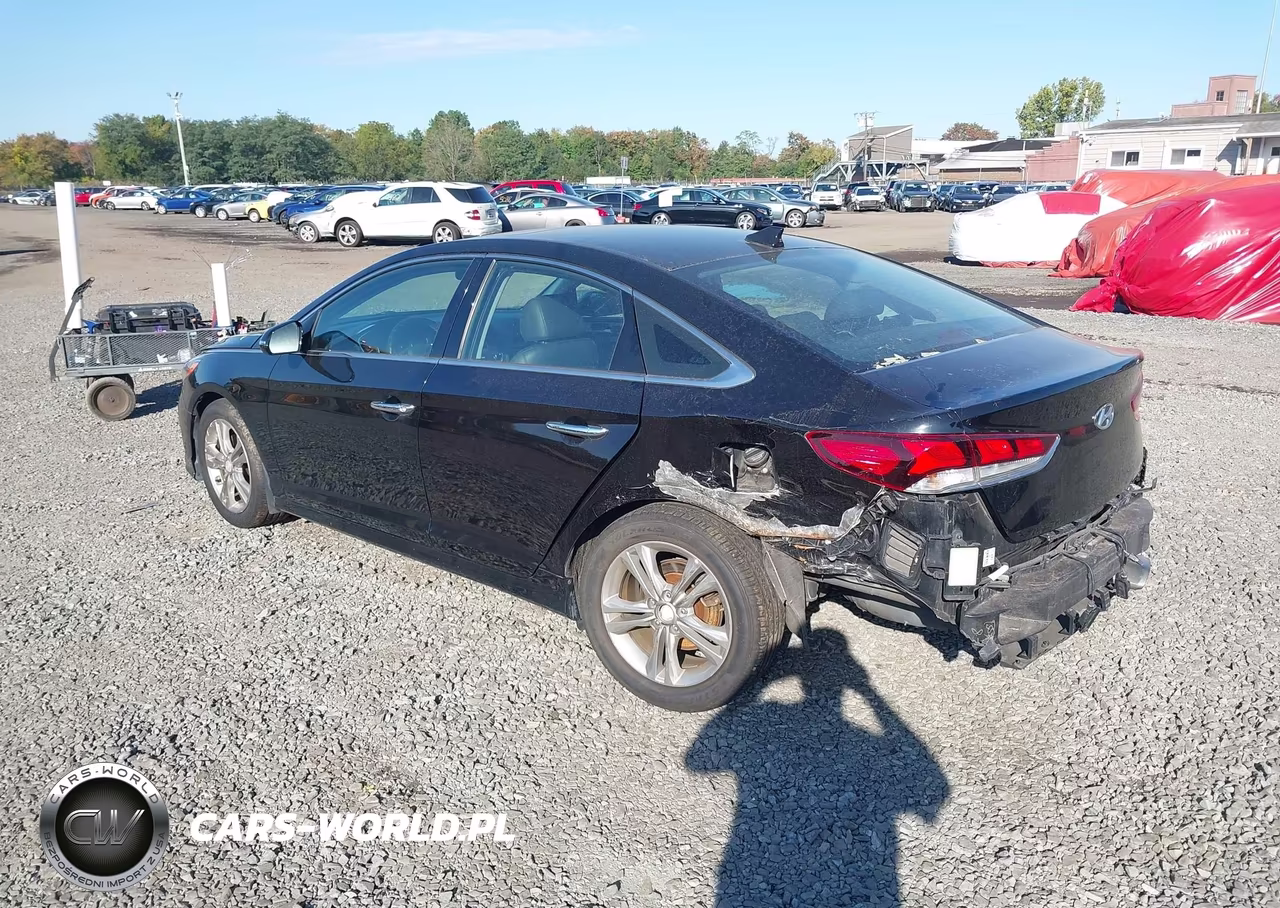 HYUNDAI SONATA SPO VIN:5NPE34AF9JH644897 - 6