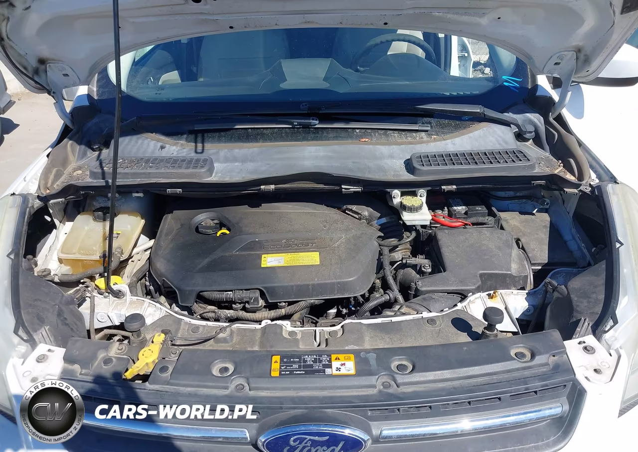 2013 Ford Escape Se VIN:1FMCU0GX8DUD54654 - 10