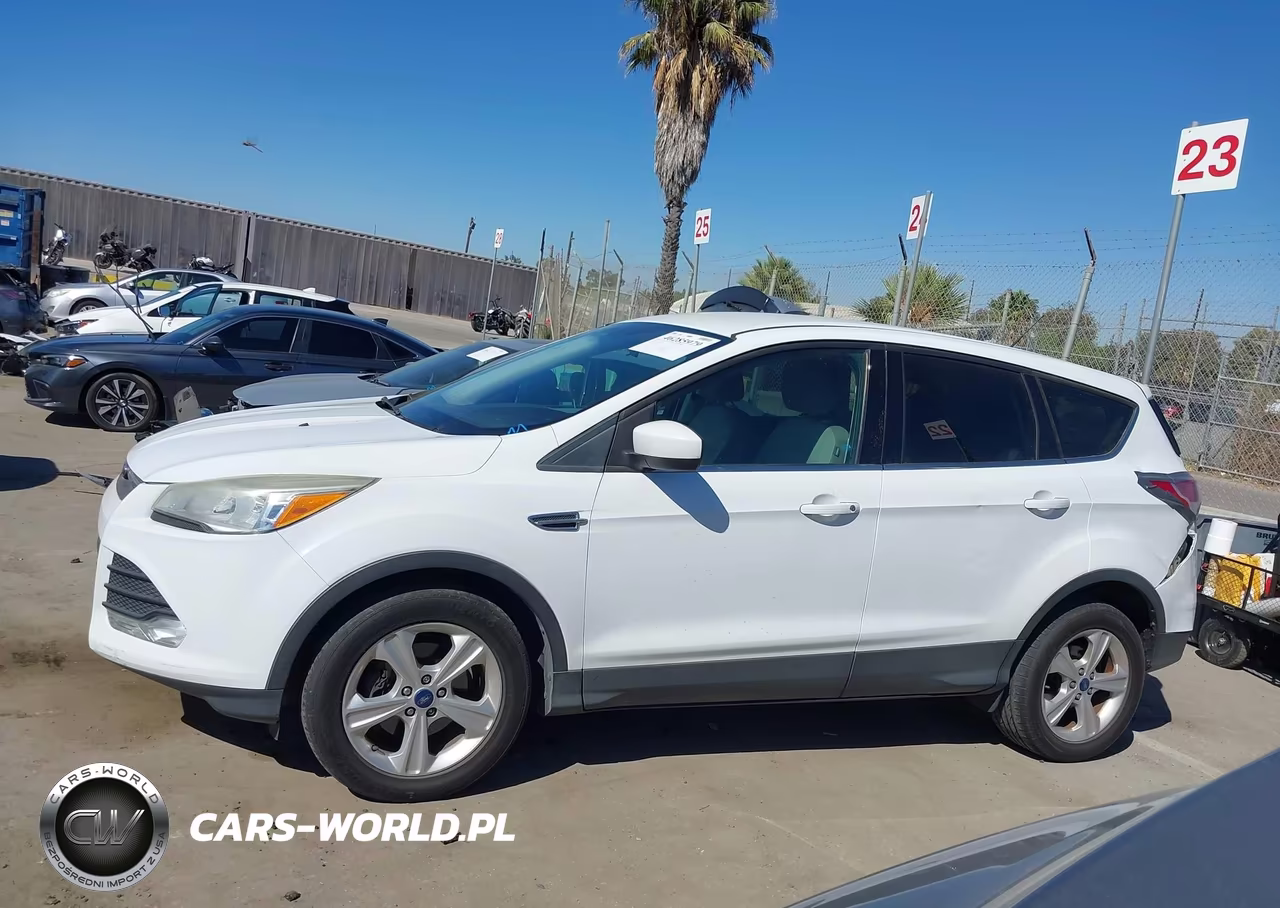 2013 Ford Escape Se VIN:1FMCU0GX8DUD54654 - 14