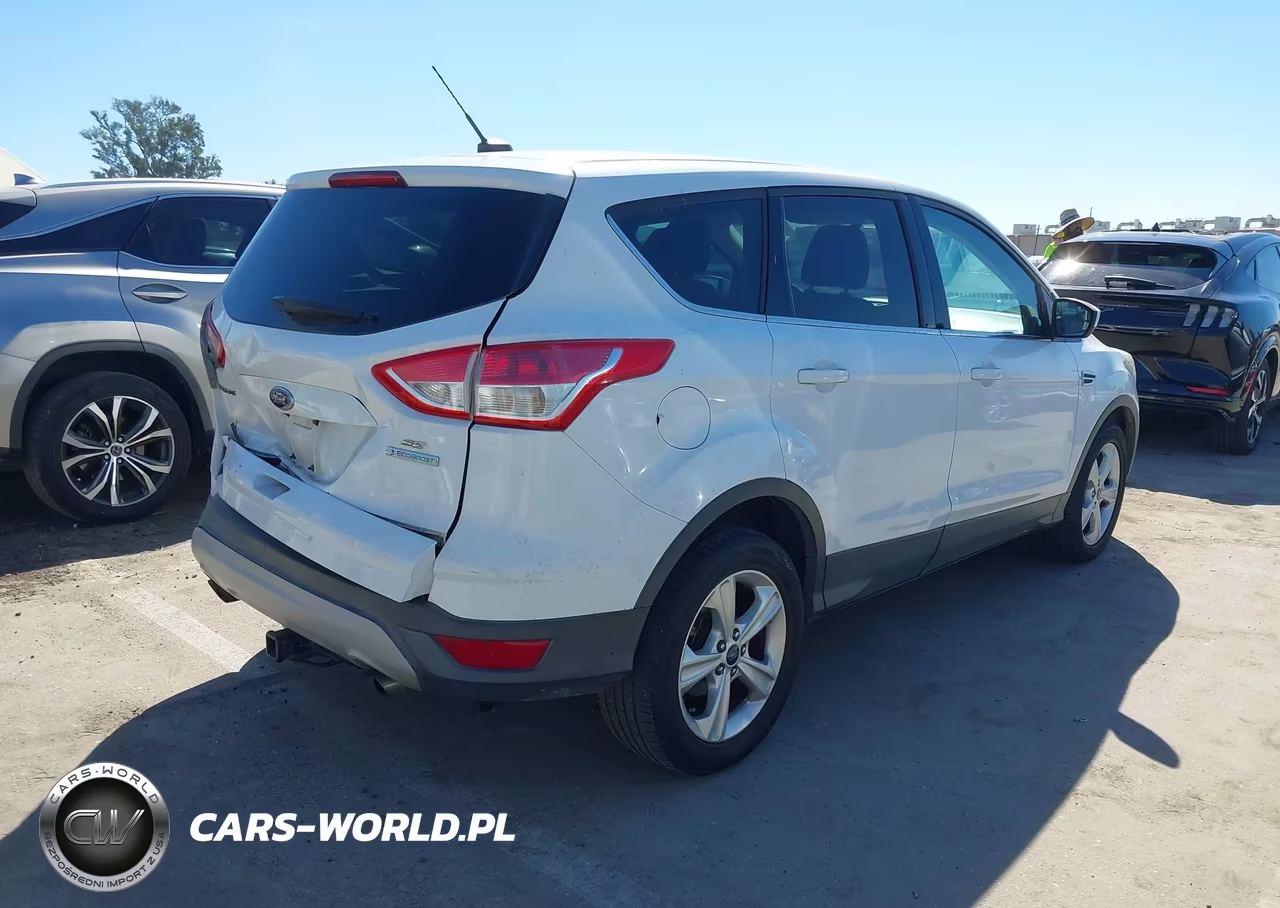 2013 Ford Escape Se VIN:1FMCU0GX8DUD54654 - 4