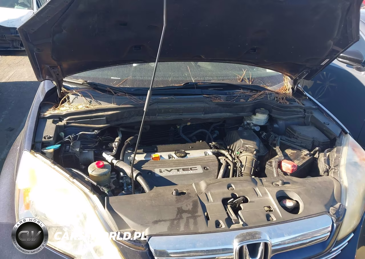 2007 Honda Cr-V Ex-L VIN:JHLRE38757C079253 - 10
