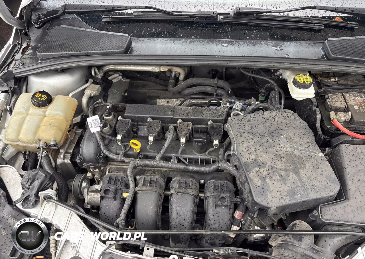 2018 Ford Focus Se VIN:1FADP3K29JL272405 - 10