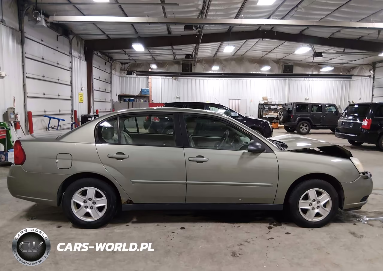 2004 Chevrolet Malibu Ls VIN:1G1ZT52804F121525 - 13