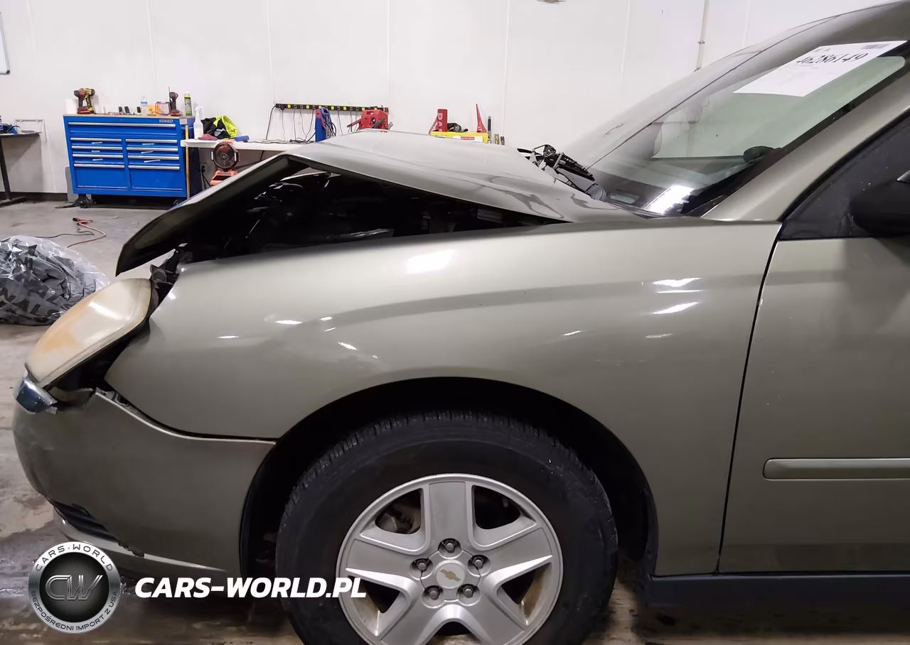 2004 Chevrolet Malibu Ls VIN:1G1ZT52804F121525 - 17