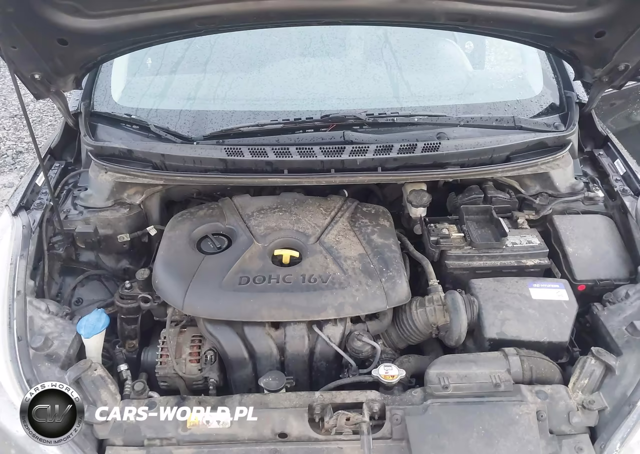 2014 Hyundai Elantra Limited VIN:KMHDH4AE7EU090500 - 10