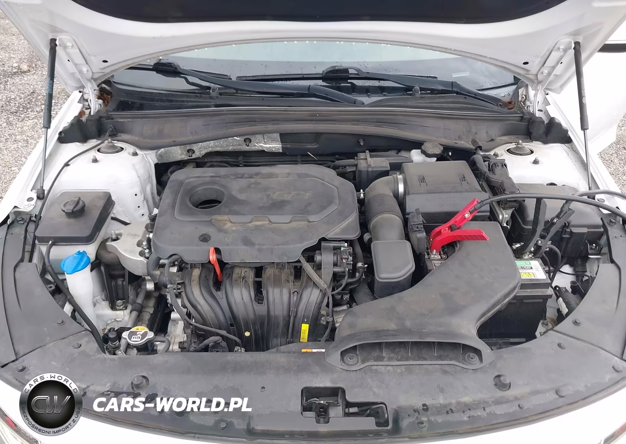 2020 Kia Optima Lx VIN:5XXGT4L33LG420616 - 10