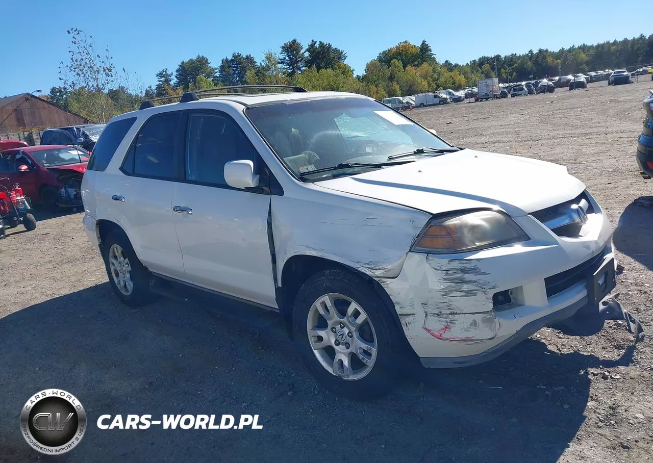 2005 Acura Mdx VIN:2HNYD18815H556581 - 1