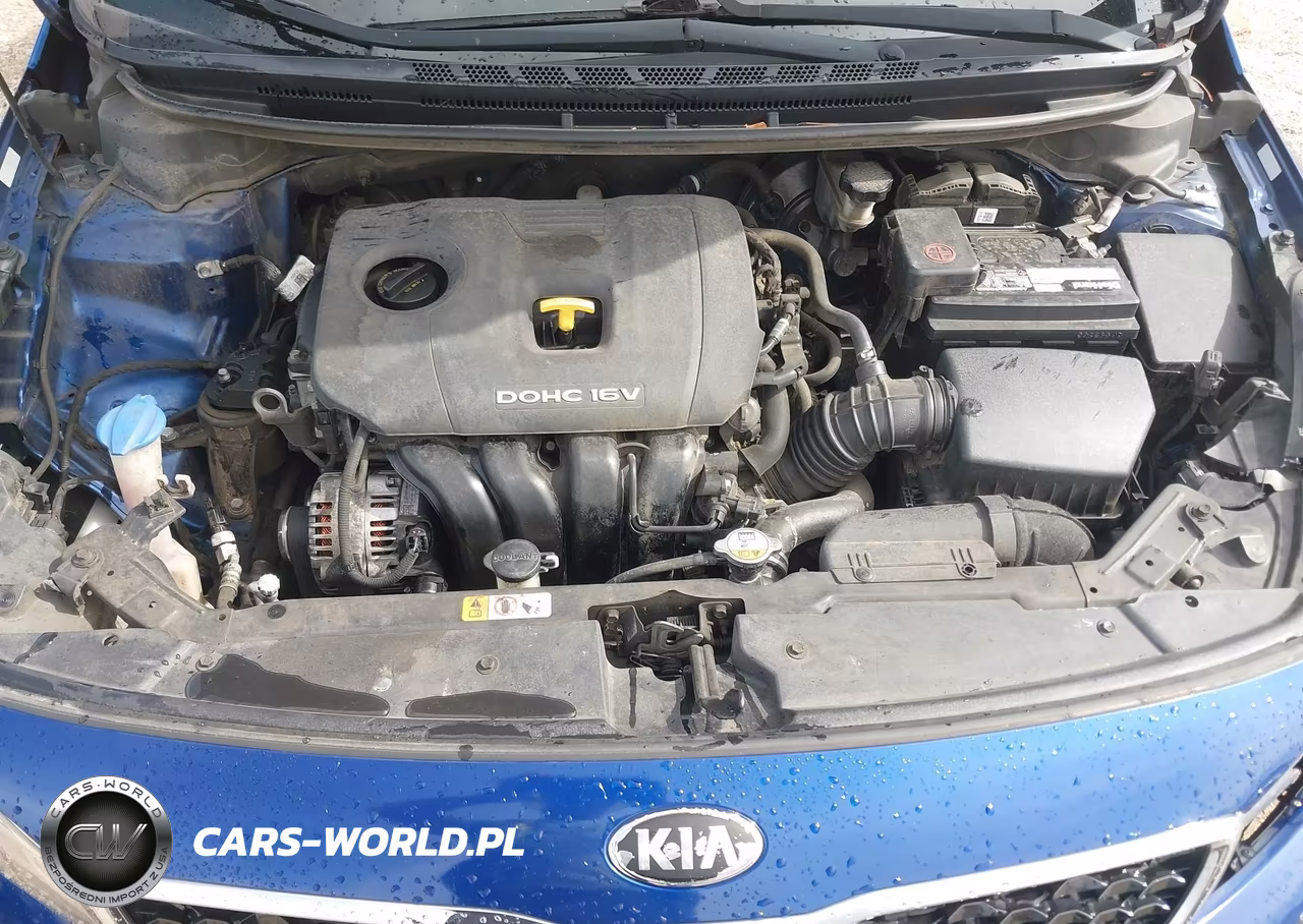 2018 Kia Forte Lx VIN:3KPFL4A71JE273526 - 10