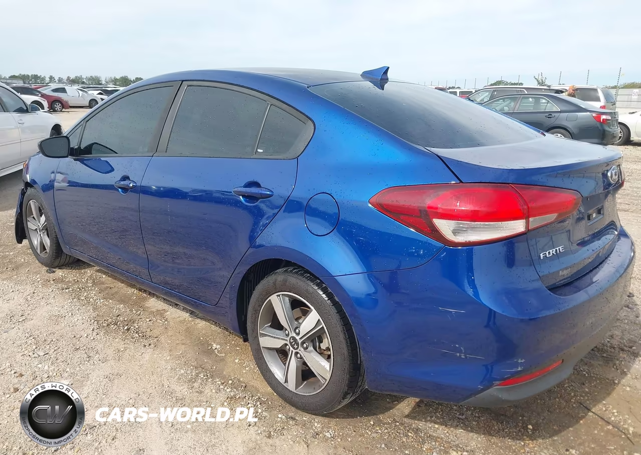 2018 Kia Forte Lx VIN:3KPFL4A71JE273526 - 3
