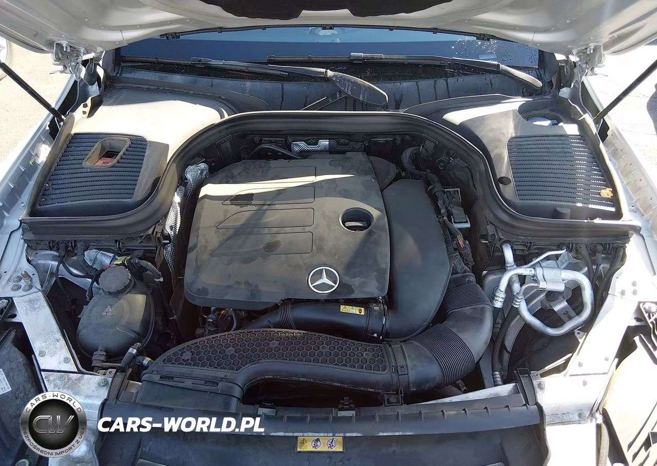 2020 Mercedes-Benz Glc 300 Coupe 4Matic VIN:W1N0J8EB2LF844072 - 10