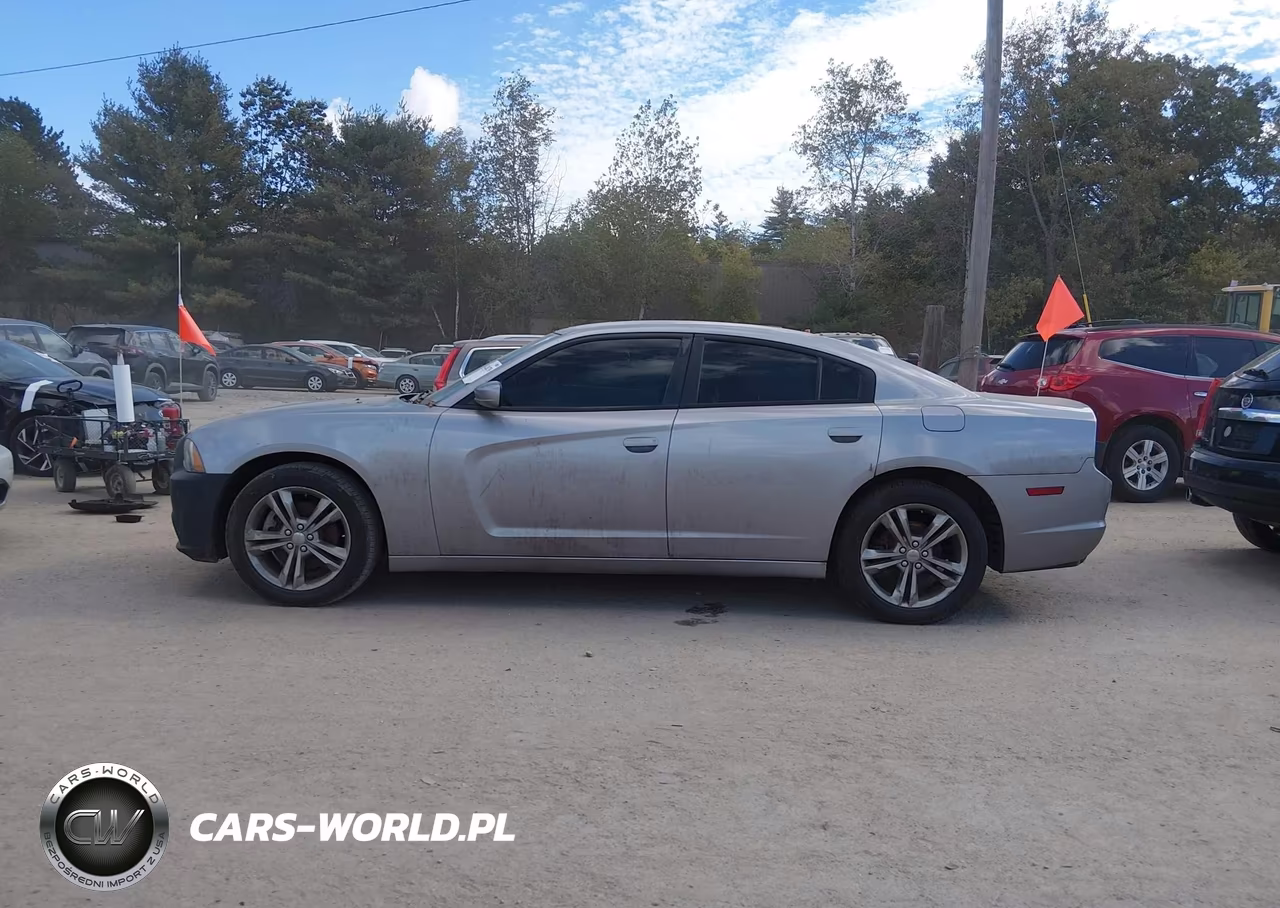 2013 Dodge Charger Sxt VIN:2C3CDXJG6DH678828 - 13