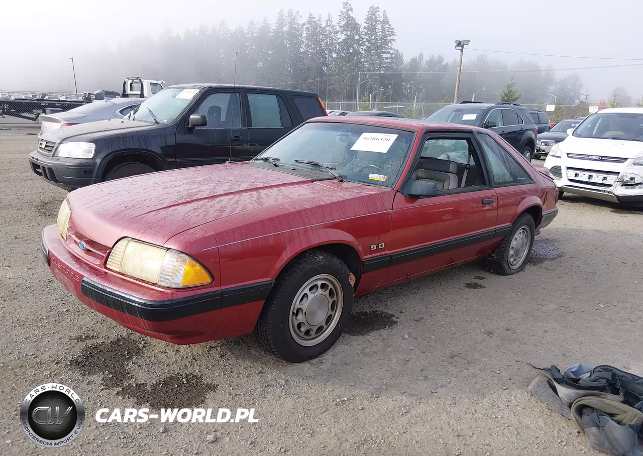 1990 Ford Mustang Lx VIN:1FACP41E1LF145243 - 2