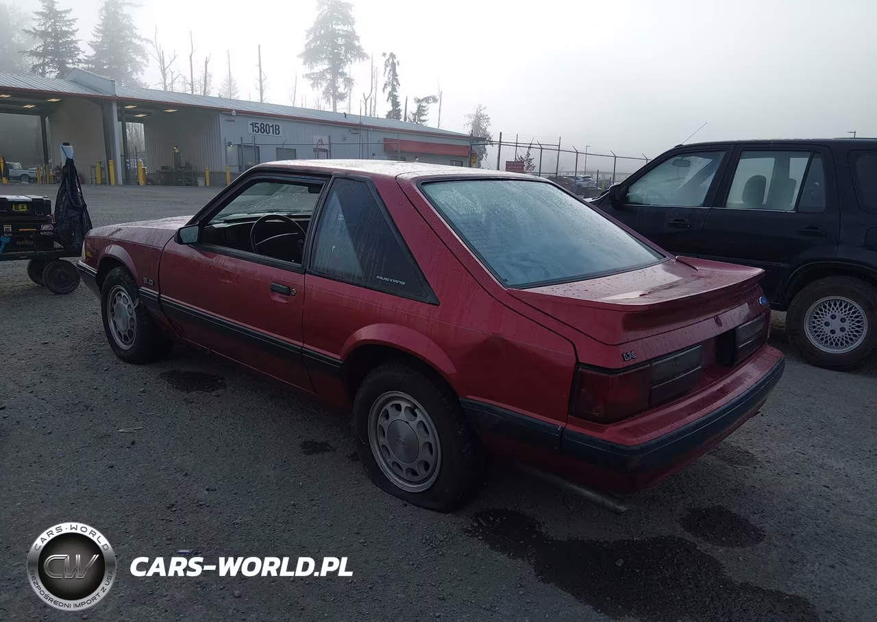 1990 Ford Mustang Lx VIN:1FACP41E1LF145243 - 3