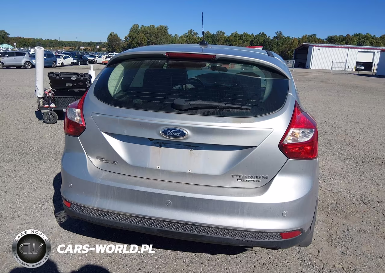 2013 Ford Focus Titanium VIN:1FADP3N29DL203391 - 16