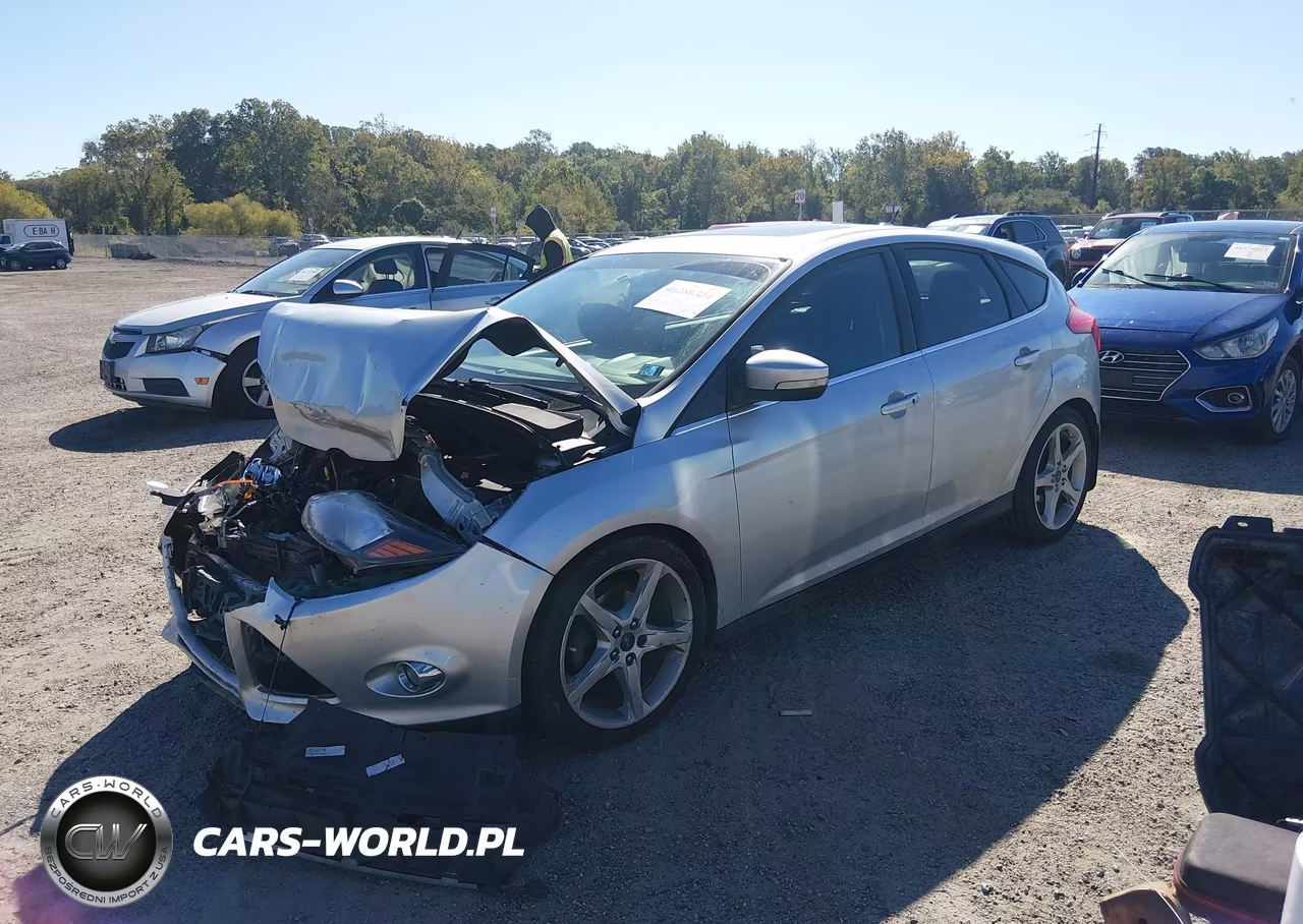 2013 Ford Focus Titanium VIN:1FADP3N29DL203391 - 2