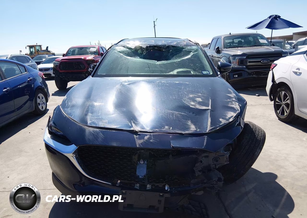 2022 Mazda Cx-30 Premium VIN:3MVDMBDL1NM407799 - 12
