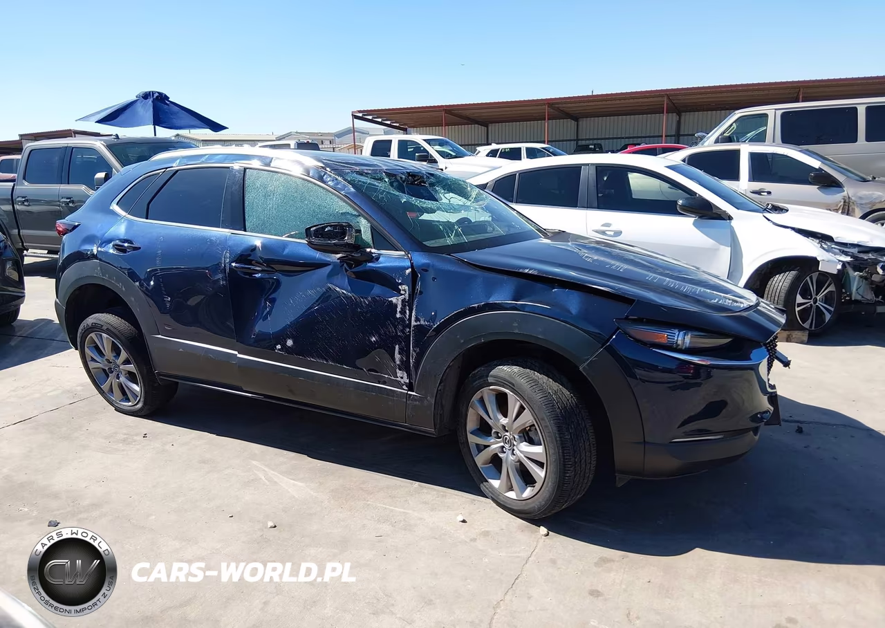 2022 Mazda Cx-30 Premium VIN:3MVDMBDL1NM407799 - 13
