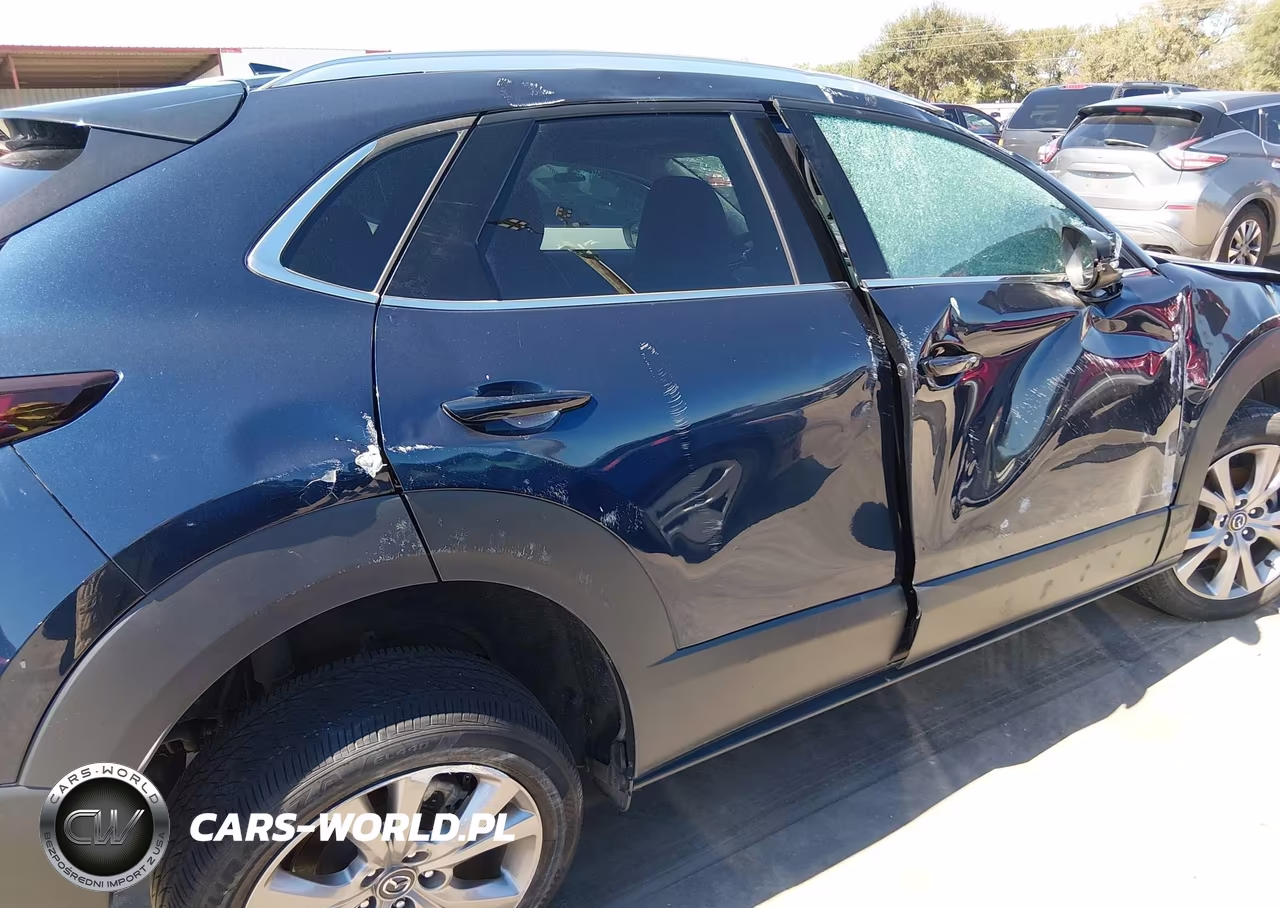 2022 Mazda Cx-30 Premium VIN:3MVDMBDL1NM407799 - 19