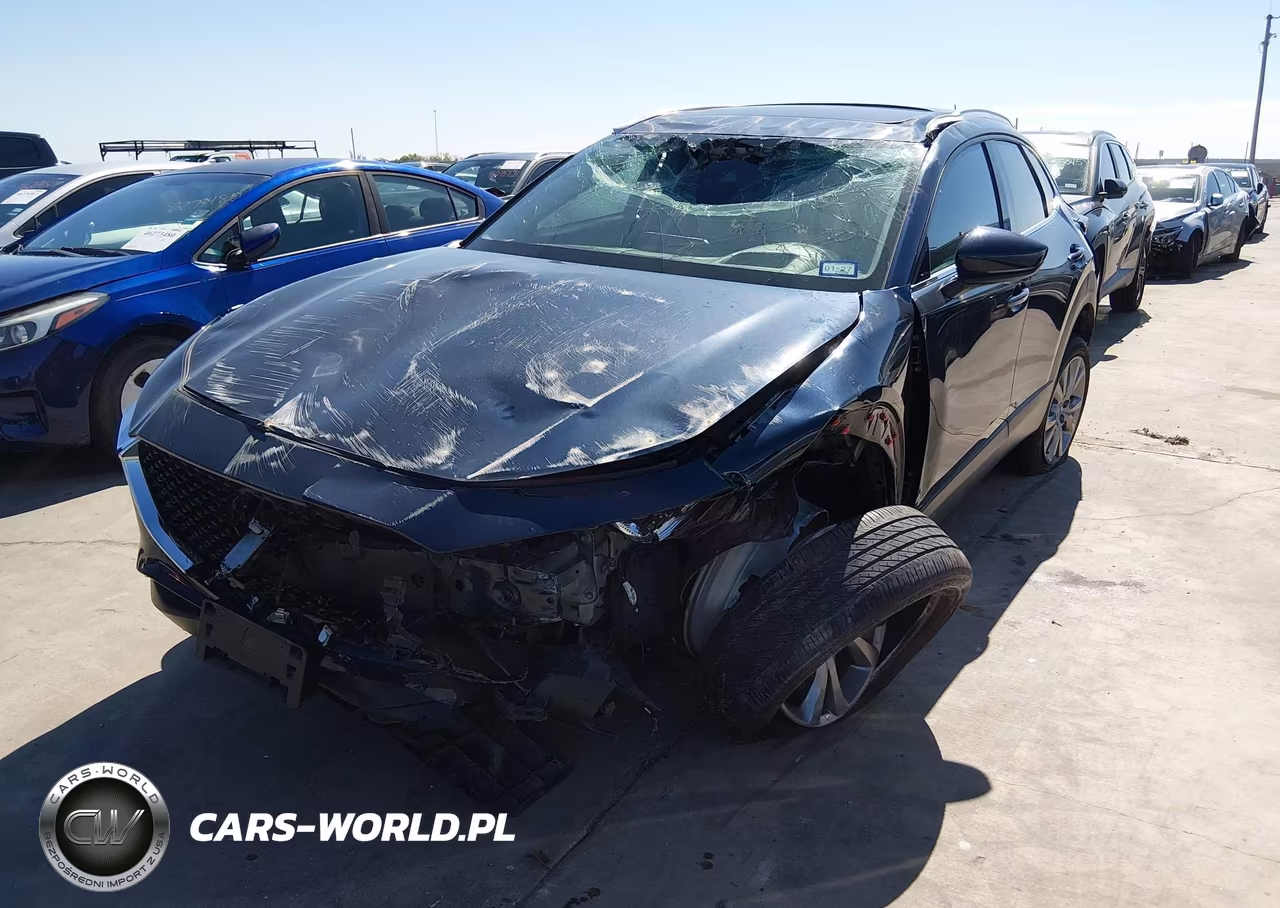 2022 Mazda Cx-30 Premium VIN:3MVDMBDL1NM407799 - 2