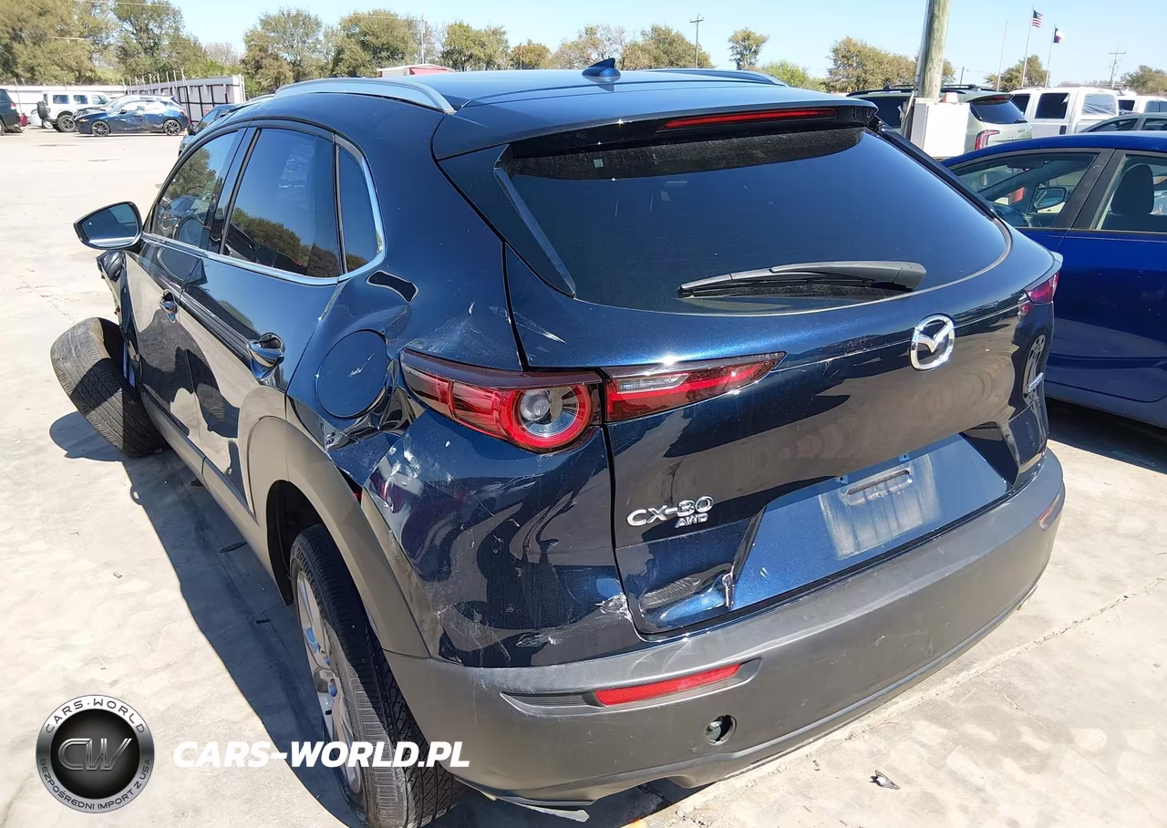 2022 Mazda Cx-30 Premium VIN:3MVDMBDL1NM407799 - 3