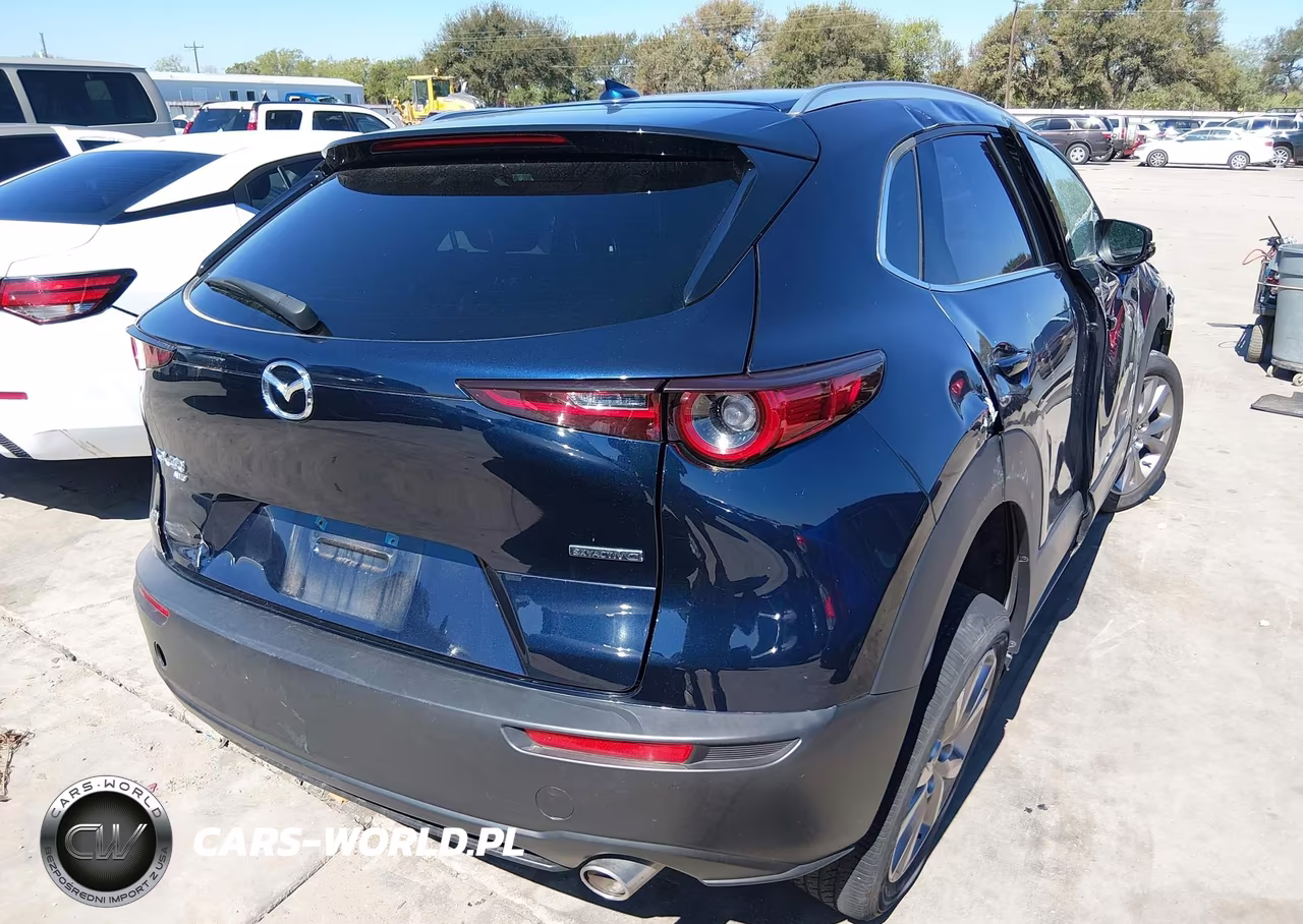 2022 Mazda Cx-30 Premium VIN:3MVDMBDL1NM407799 - 4
