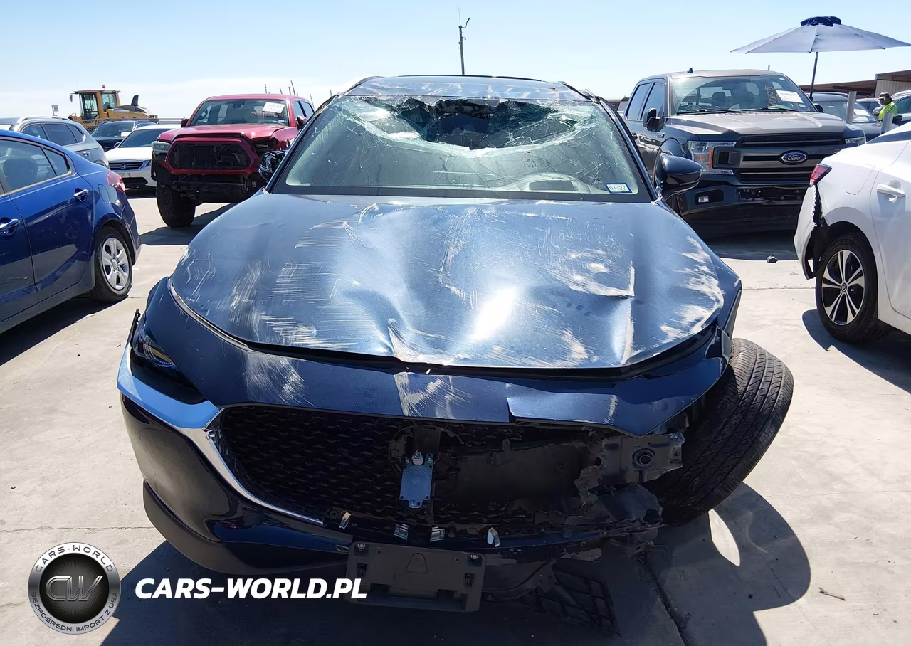 2022 Mazda Cx-30 Premium VIN:3MVDMBDL1NM407799 - 6