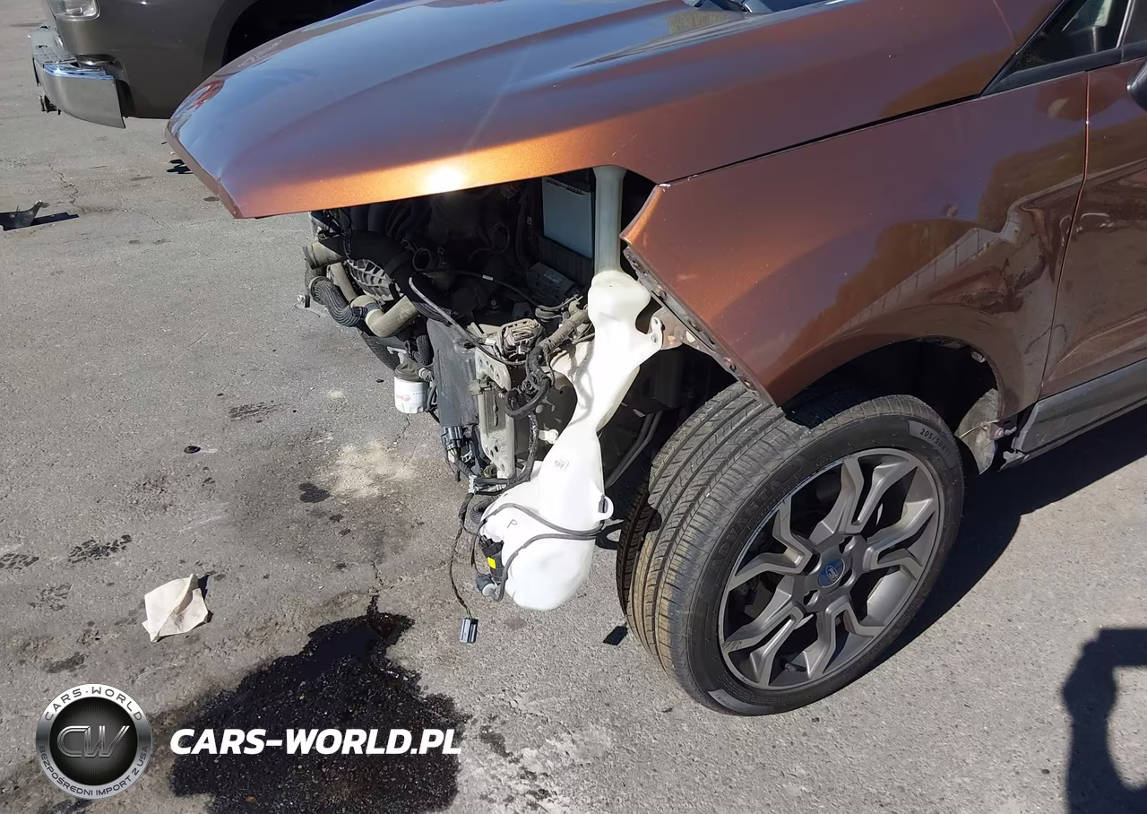 2019 Ford Ecosport Ses VIN:MAJ6S3JLXKC262954 - 18