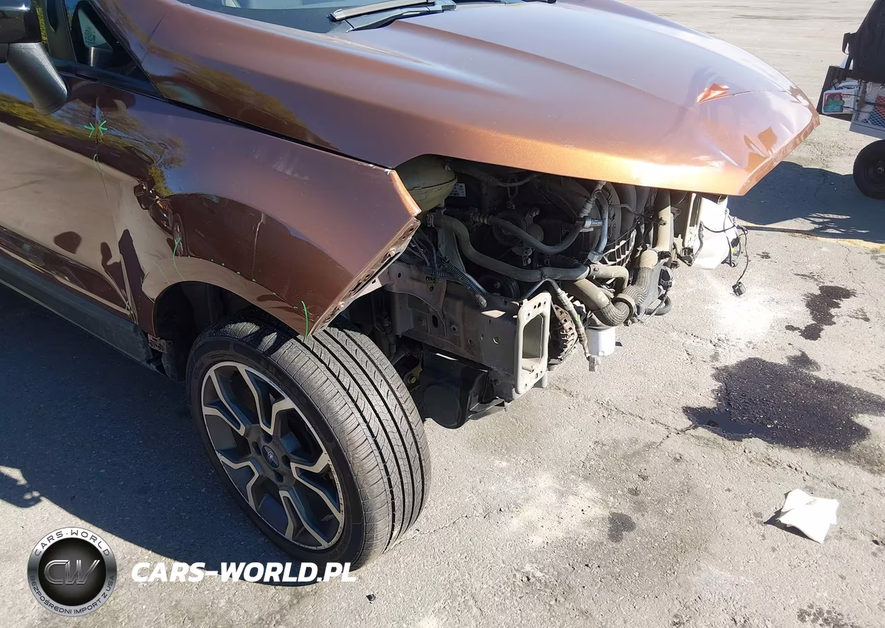 2019 Ford Ecosport Ses VIN:MAJ6S3JLXKC262954 - 19