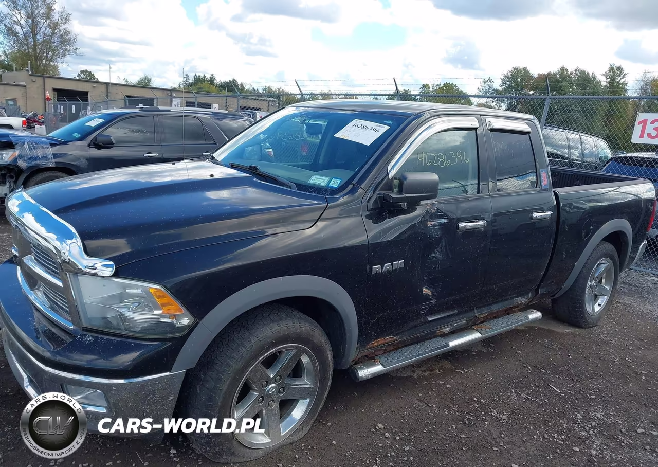 2010 Dodge Ram 1500 Slt-Sport-Trx VIN:1D7RV1GP0AS263103 - 12