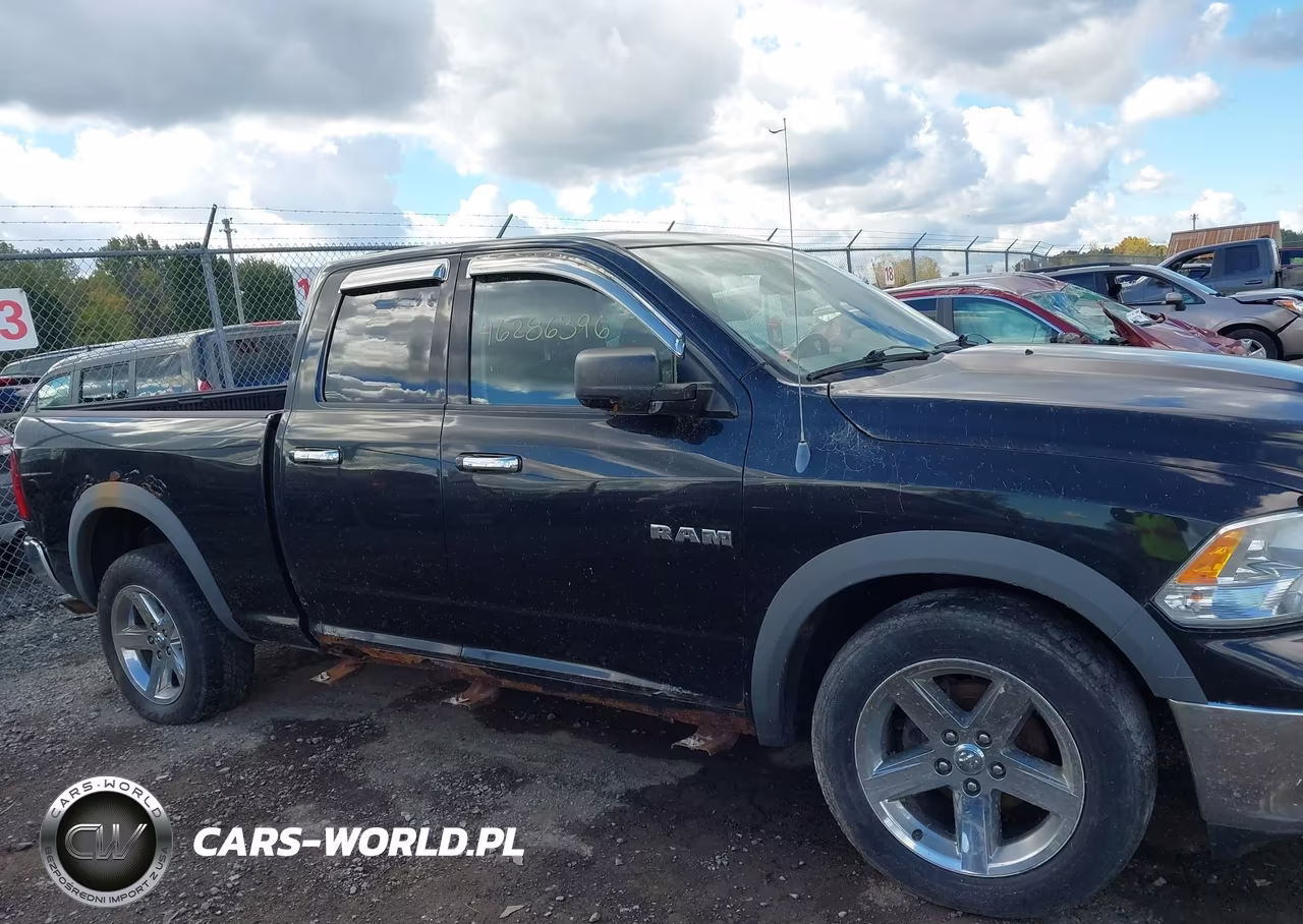 2010 Dodge Ram 1500 Slt-Sport-Trx VIN:1D7RV1GP0AS263103 - 13