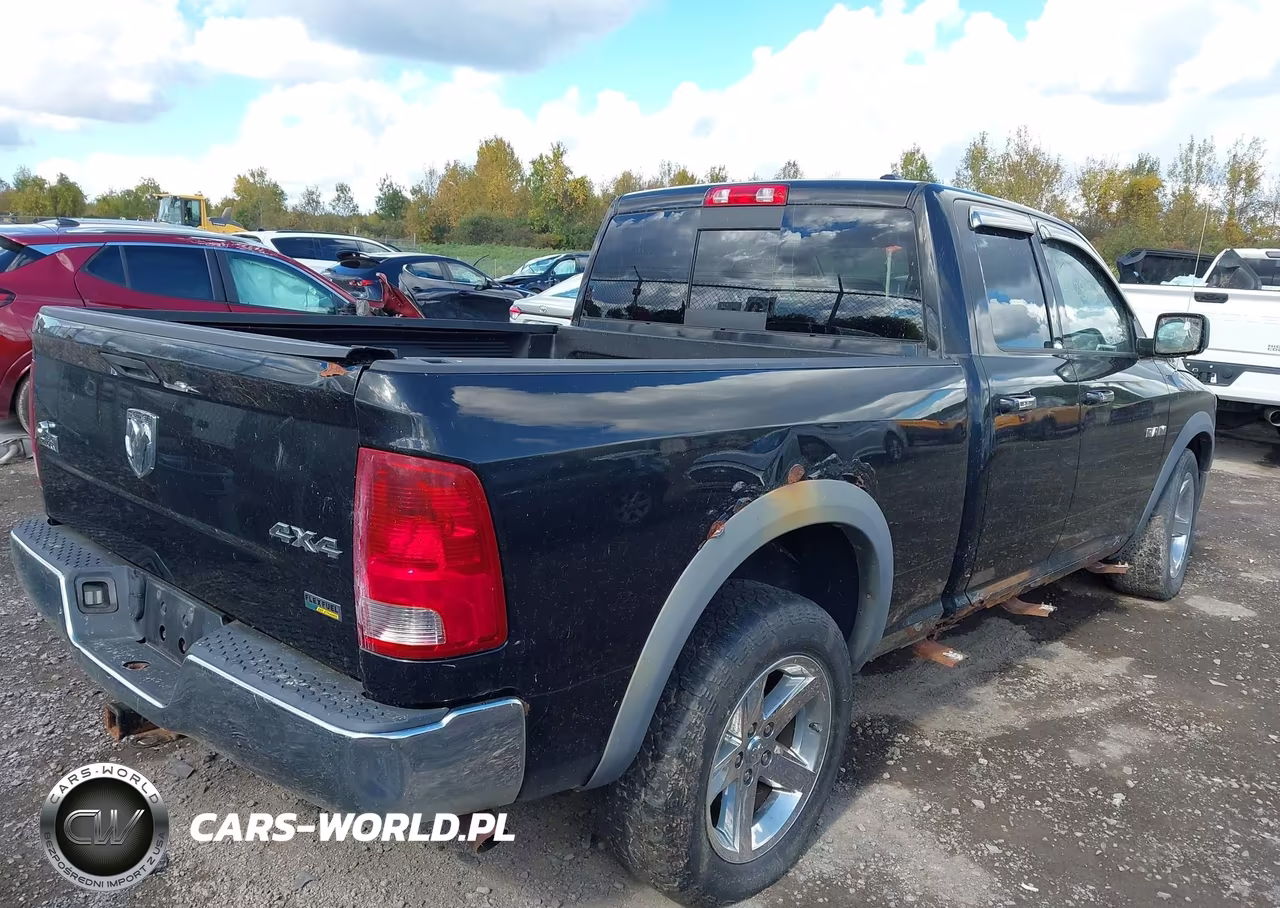 2010 Dodge Ram 1500 Slt-Sport-Trx VIN:1D7RV1GP0AS263103 - 4
