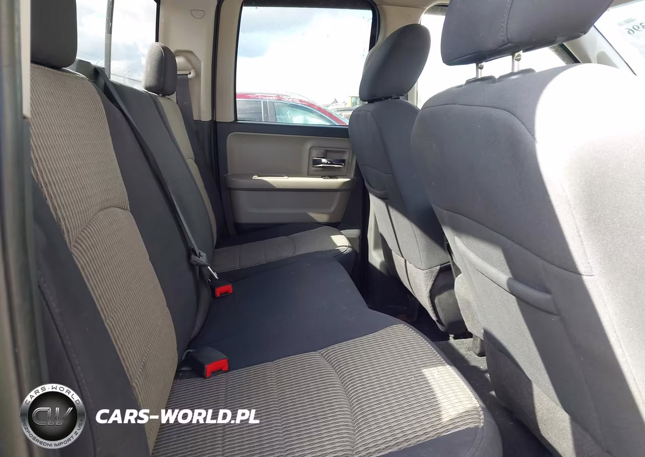 2010 Dodge Ram 1500 Slt-Sport-Trx VIN:1D7RV1GP0AS263103 - 8