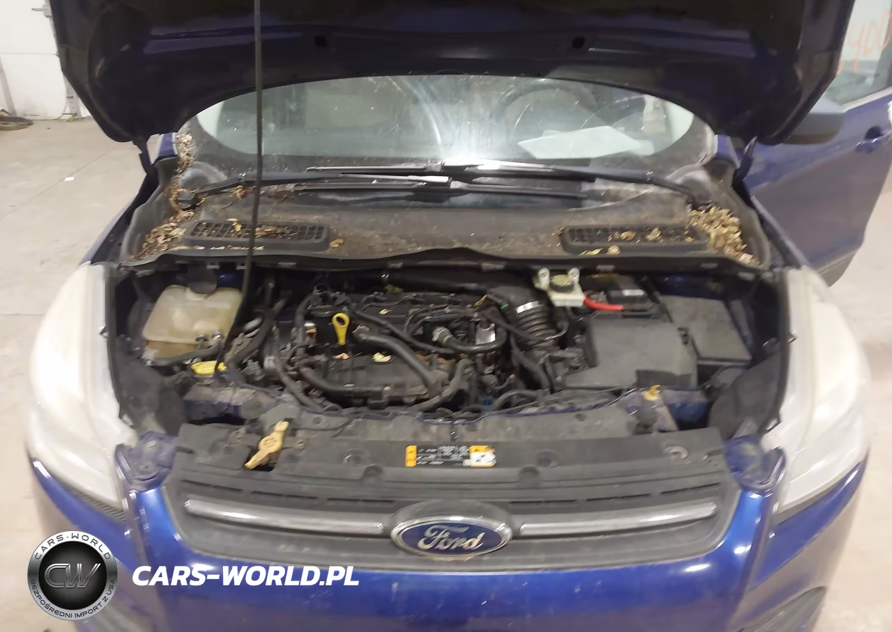 2013 Ford Escape Se VIN:1FMCU0GX7DUB65297 - 10