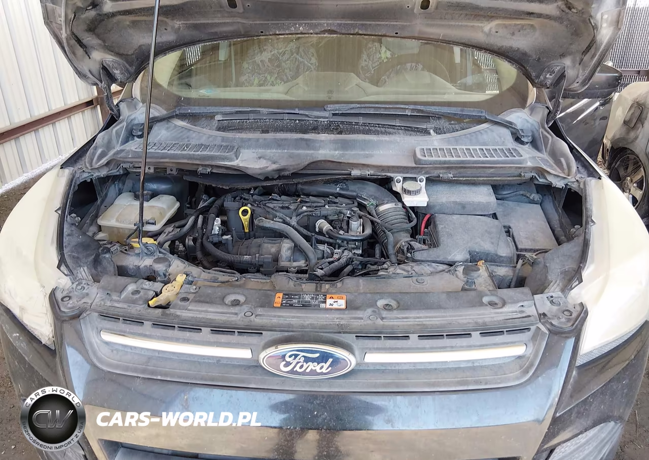 2015 Ford Escape Se VIN:1FMCU0GX0FUA46395 - 10