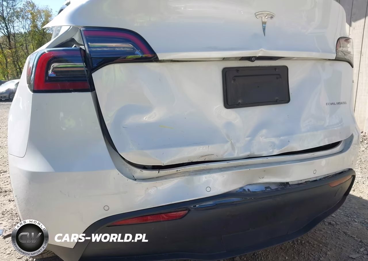 2022 Tesla Model Y Long Range Dual Motor All-Wheel Drive VIN:7SAYGDEE9NA012098 - 19