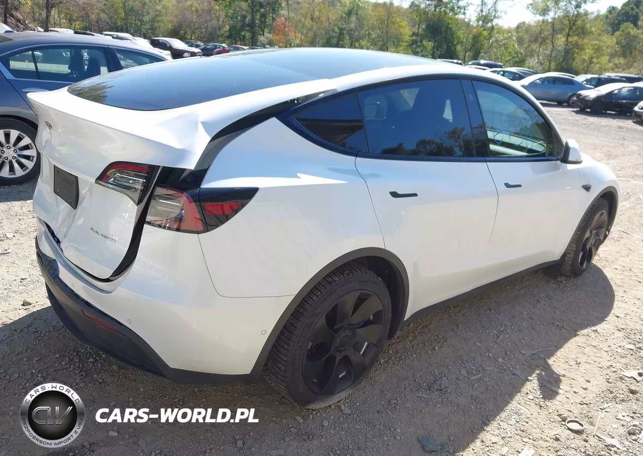 2022 Tesla Model Y Long Range Dual Motor All-Wheel Drive VIN:7SAYGDEE9NA012098 - 4
