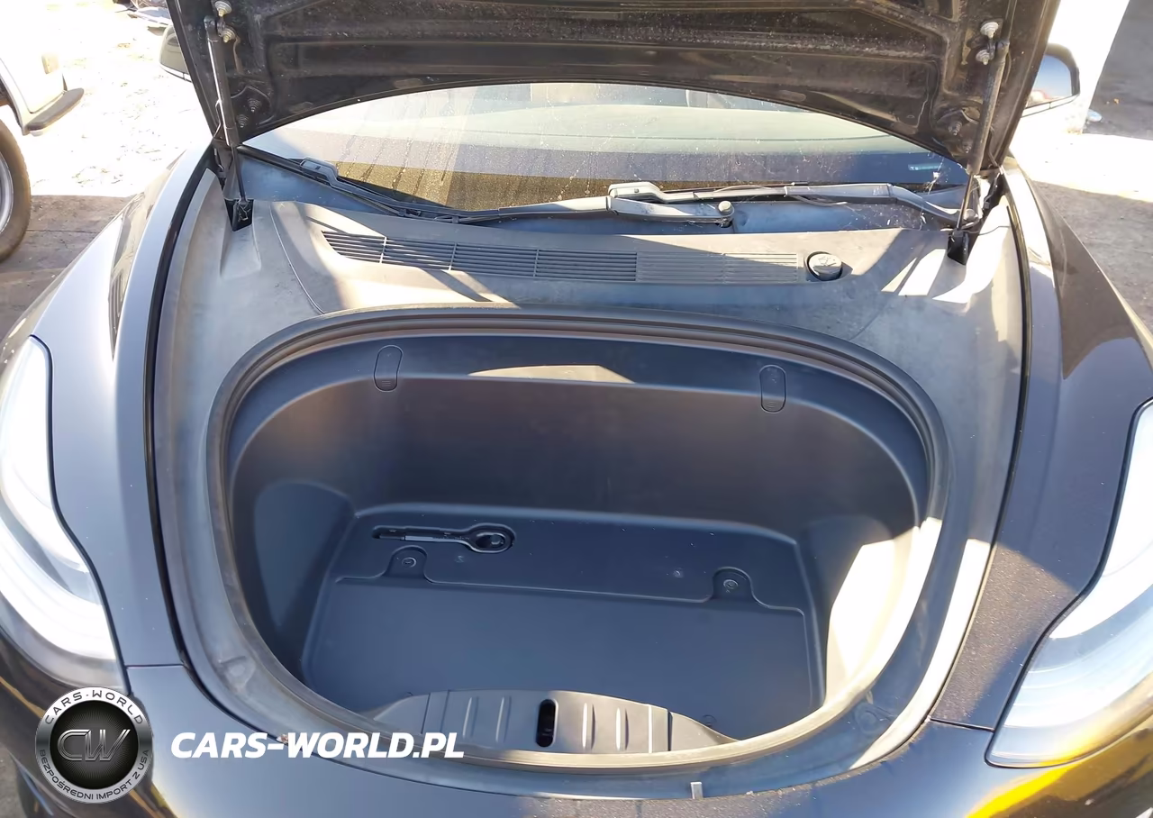 2019 Tesla Model 3 Long Range-Mid Range-Standard Range-Standard Range Plus VIN:5YJ3E1EA9KF399551 - 10