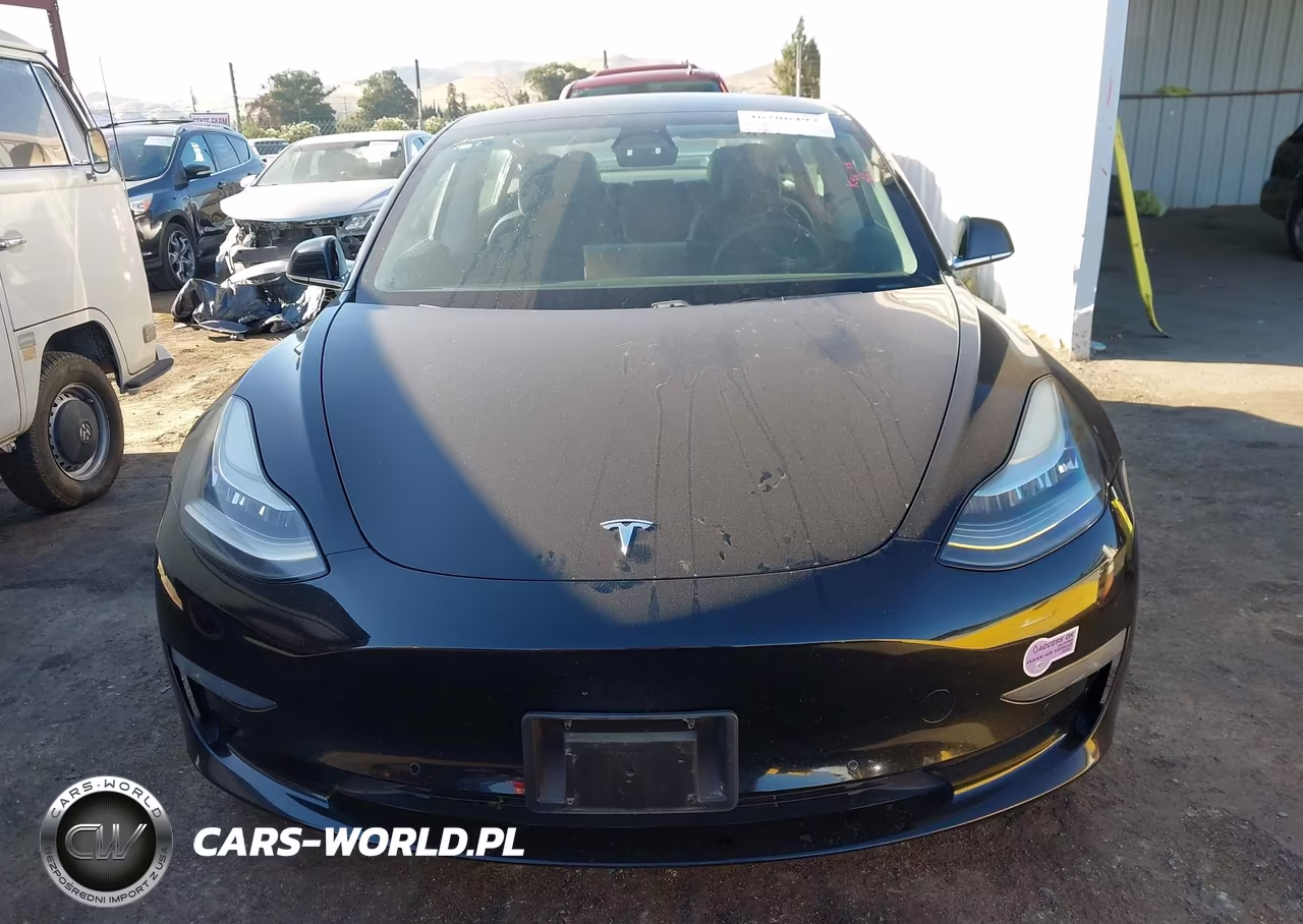 2019 Tesla Model 3 Long Range-Mid Range-Standard Range-Standard Range Plus VIN:5YJ3E1EA9KF399551 - 13
