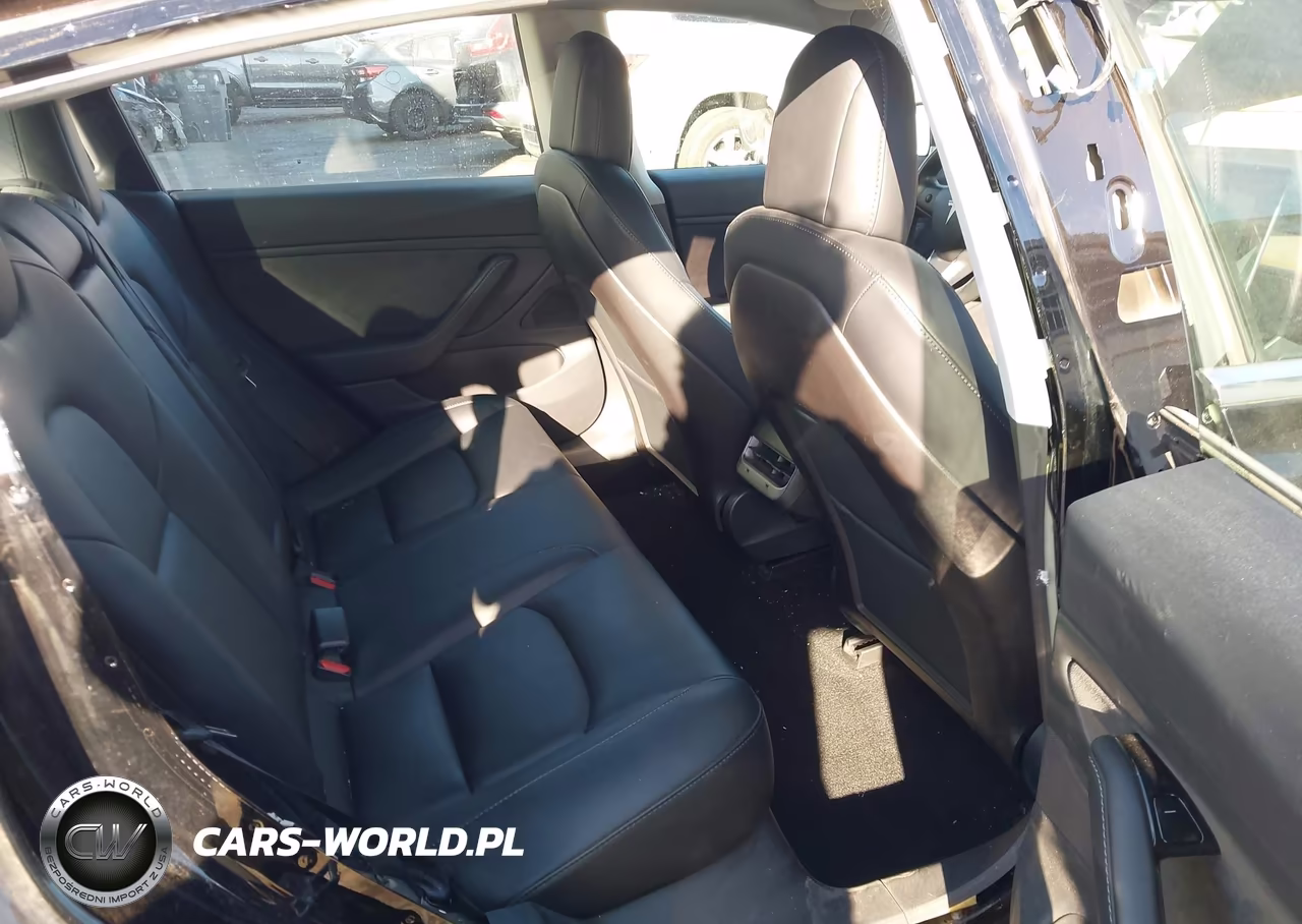 2019 Tesla Model 3 Long Range-Mid Range-Standard Range-Standard Range Plus VIN:5YJ3E1EA9KF399551 - 8