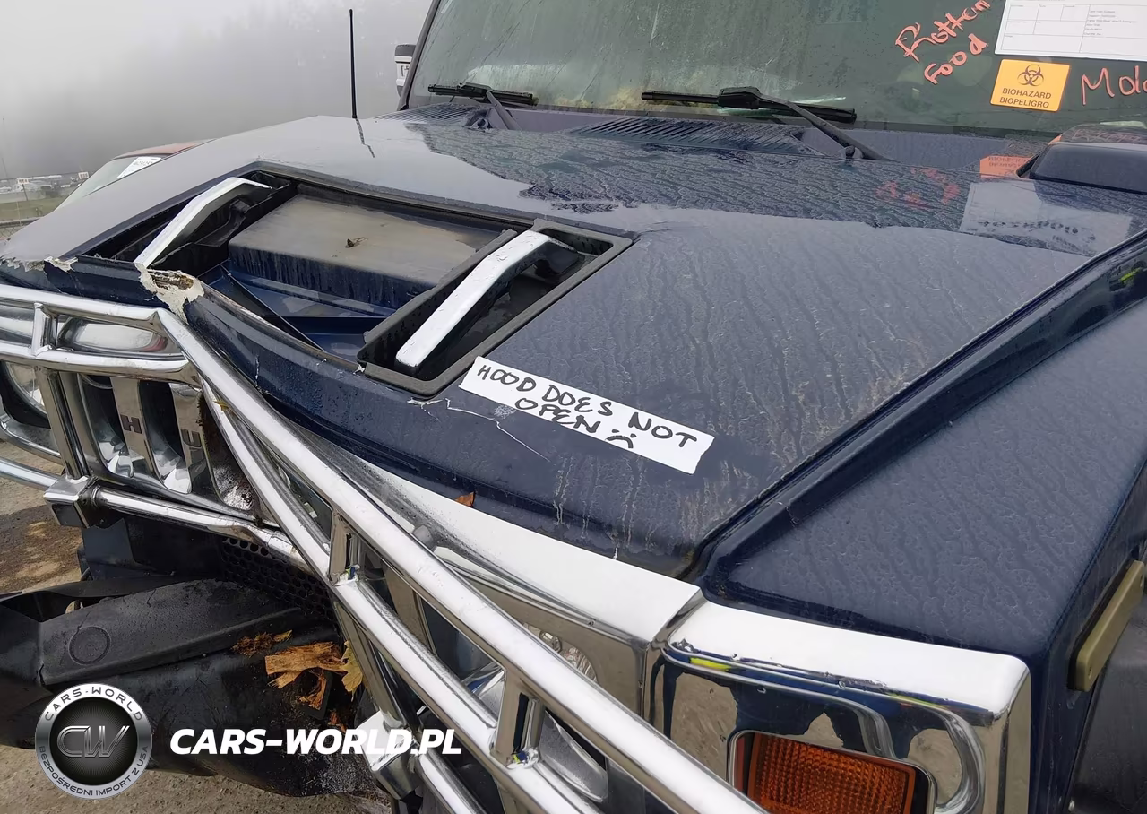 2007 Hummer H2 Suv VIN:5GRGN23U57H101815 - 10