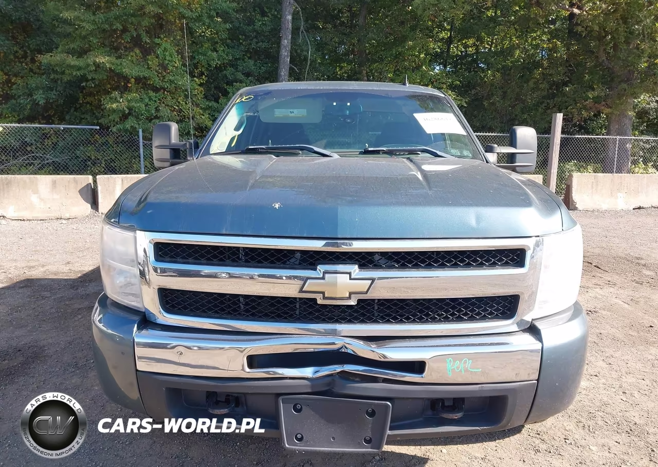 2009 Chevrolet Silverado 1500 Work Truck VIN:1GCEK19C59Z161116 - 12