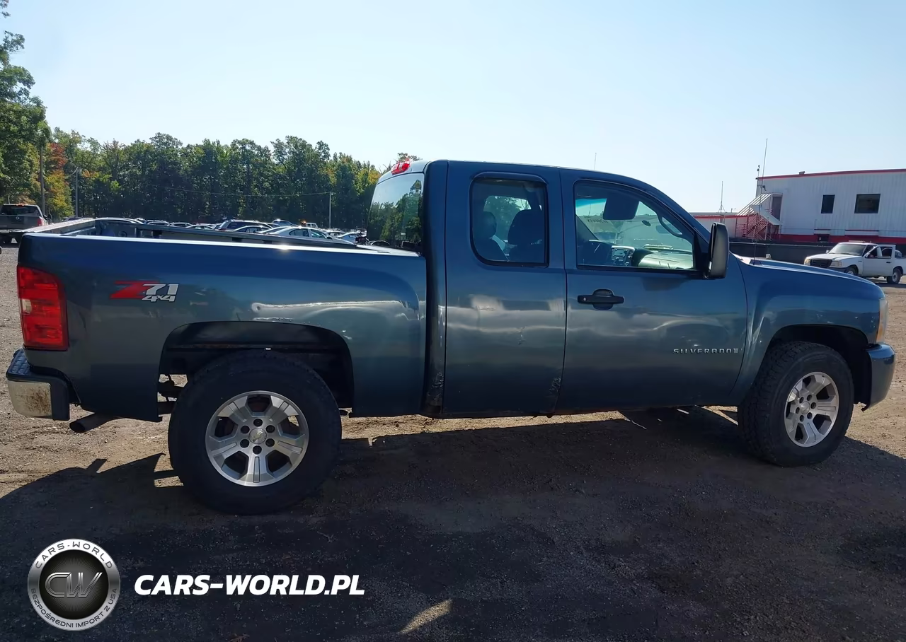 2009 Chevrolet Silverado 1500 Work Truck VIN:1GCEK19C59Z161116 - 13