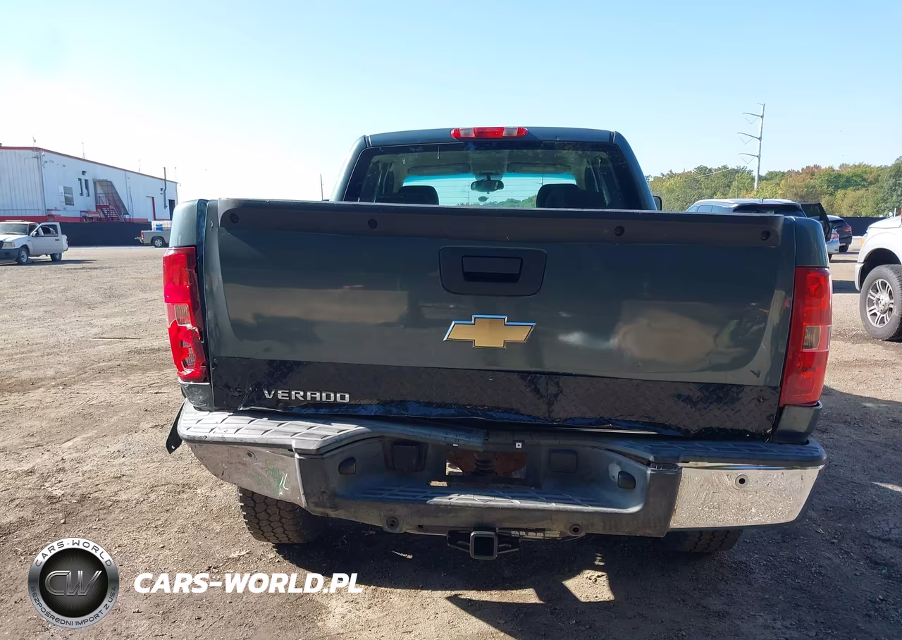 2009 Chevrolet Silverado 1500 Work Truck VIN:1GCEK19C59Z161116 - 16