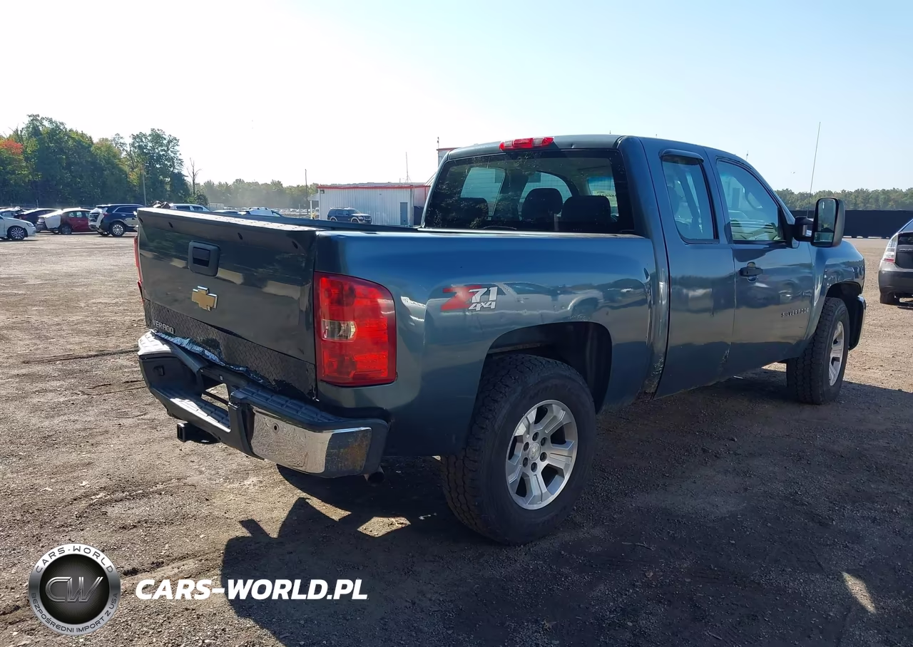 2009 Chevrolet Silverado 1500 Work Truck VIN:1GCEK19C59Z161116 - 4